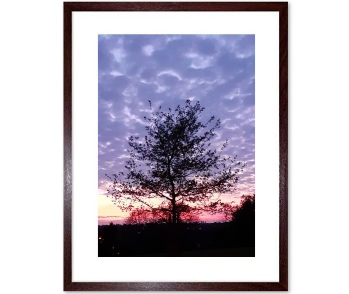 Twilight  Framed Print
